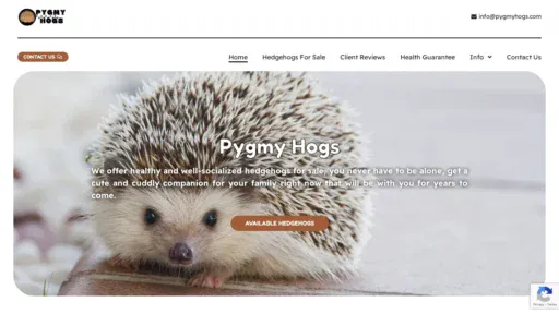 A screenshot of Pygmyhogs.com