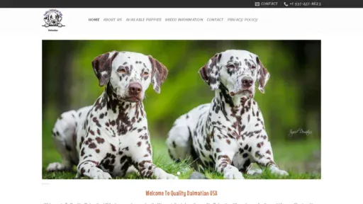 A screenshot of Qualitydamatianforsale.com