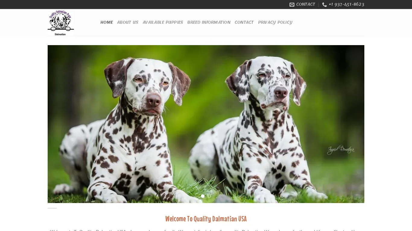 is Home - Quality Dalmatian Pups legit? screenshot