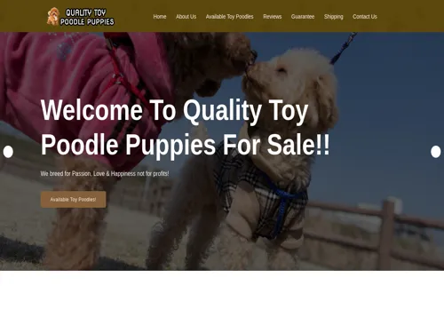is qualitytoypoodlepuppies.com legit? screenshot