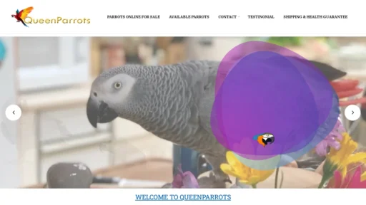 A screenshot of Queenparrots.com