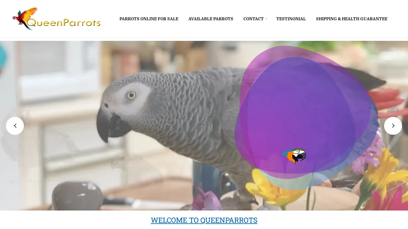 is queenparrots.com legit? screenshot