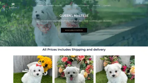A screenshot of Queensmaltese.com