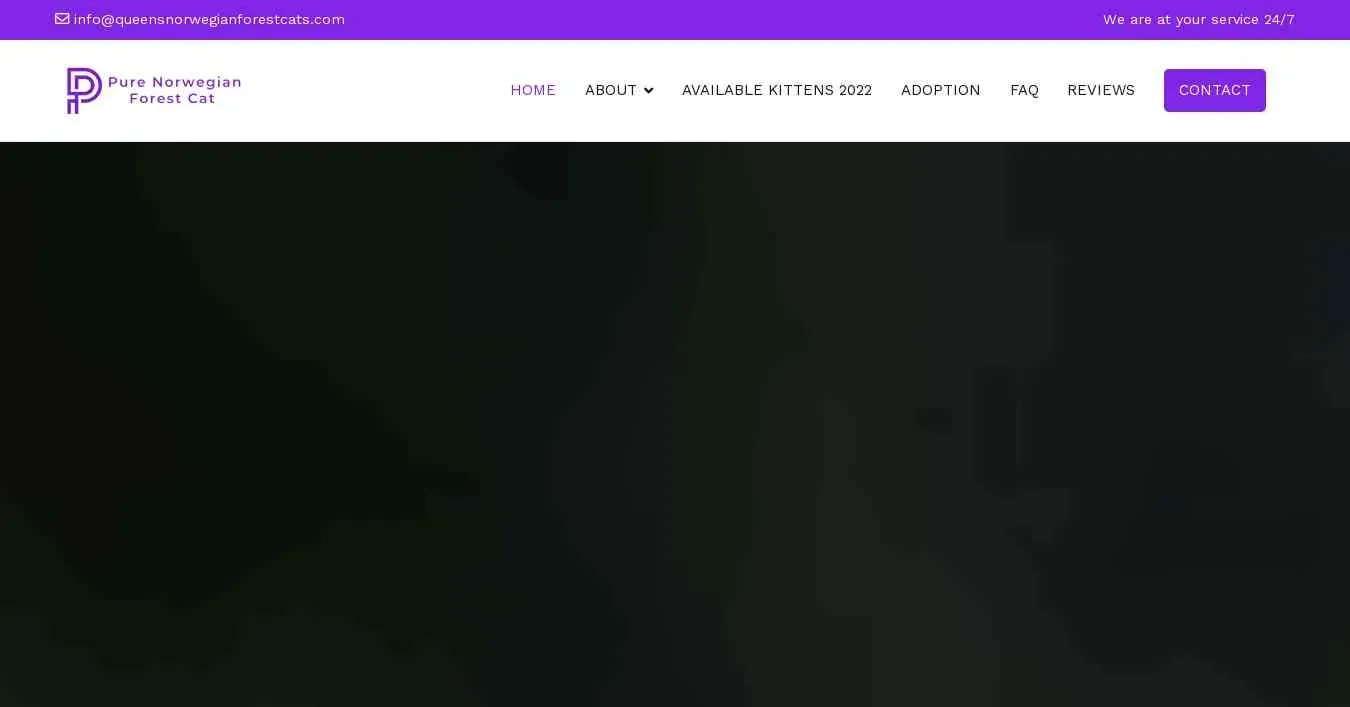 is queensnorwegianforestcats.com legit? screenshot