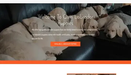 A screenshot of Genlanfamilystbernard.com