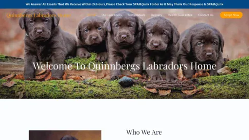 A screenshot of Quinnbergslabradorshome.com
