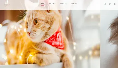 A screenshot of Genlanfamilystbernard.com