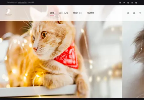 is ragdollcastsankittens.com legit? screenshot