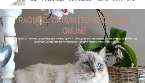 A screenshot of Genlanfamilystbernard.com