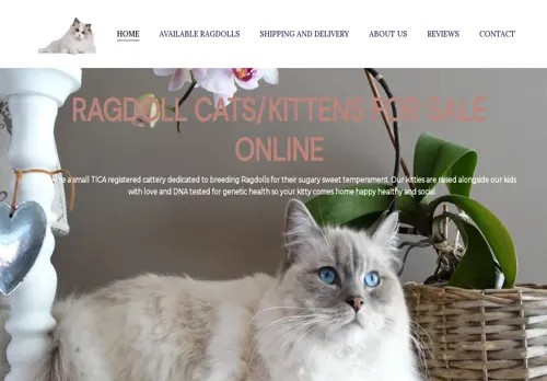 is ragdollcatsonline.com legit? screenshot