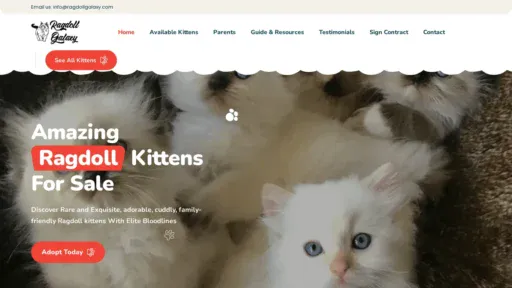 A screenshot of Ragdollgalaxy.com