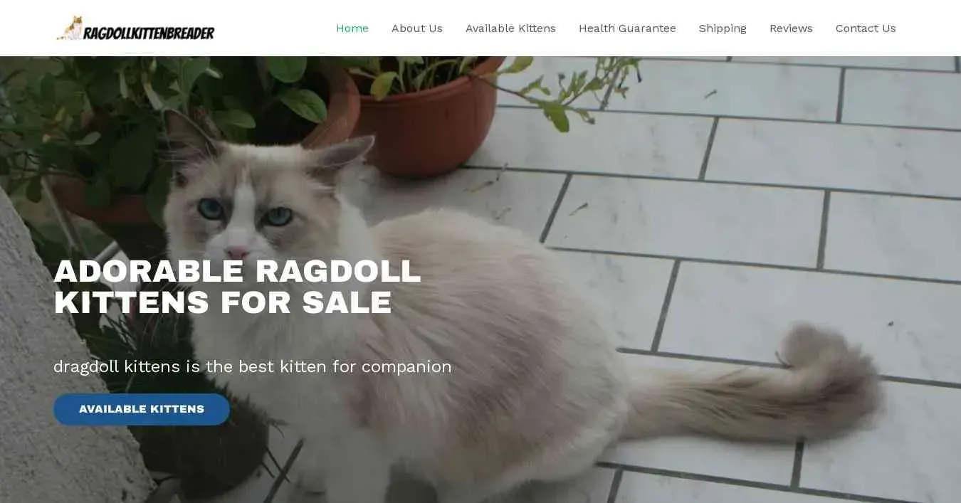 is ragdollkittenbreader.com legit? screenshot