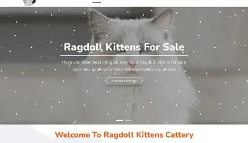 A screenshot of Ragdollkittenscattery.com