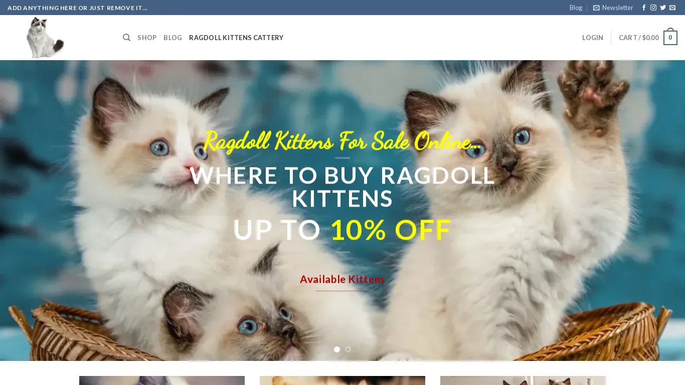 is ragdollkittenscattery.net legit? screenshot