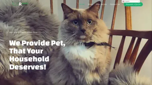 A screenshot of Ragdollkittenzone.com