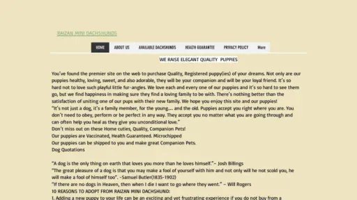 A screenshot of Raizen-br.info