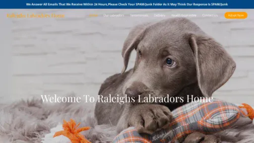 A screenshot of Raleighslabradorshome.com