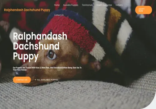 is ralphandashdachshundpuppy.com legit? screenshot