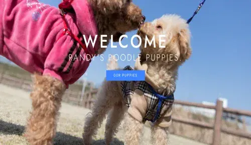 A screenshot of Genlanfamilystbernard.com