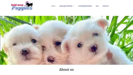 A screenshot of Randyteacuphome.com