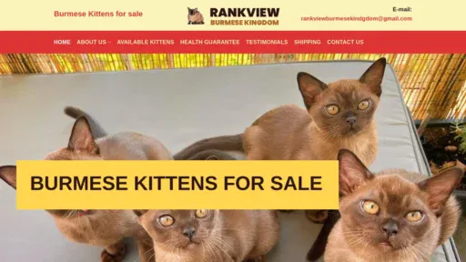 A screenshot of Rankviewburmesekingdom.com