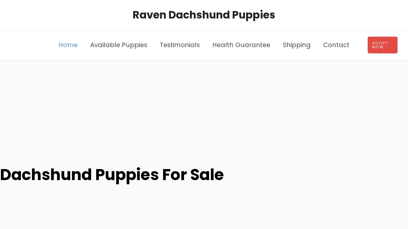 is ravendachshundpuppies.com legit? screenshot