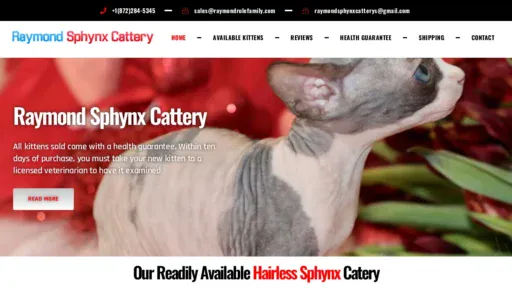 A screenshot of Raymondrulefamily.com