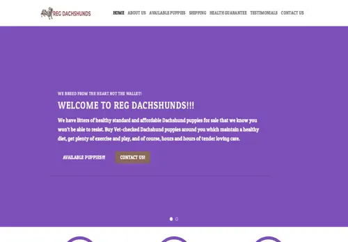 is regdachshunds.com legit? screenshot