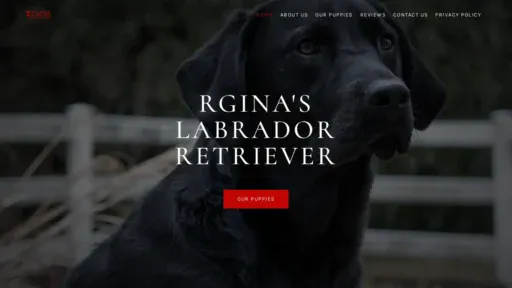 A screenshot of Reginasjlabradorretrievers.com