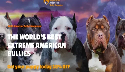 A screenshot of Genlanfamilystbernard.com