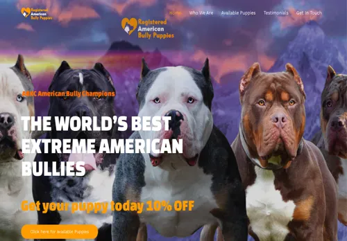 is registeredamericanbullypuppies.com legit? screenshot
