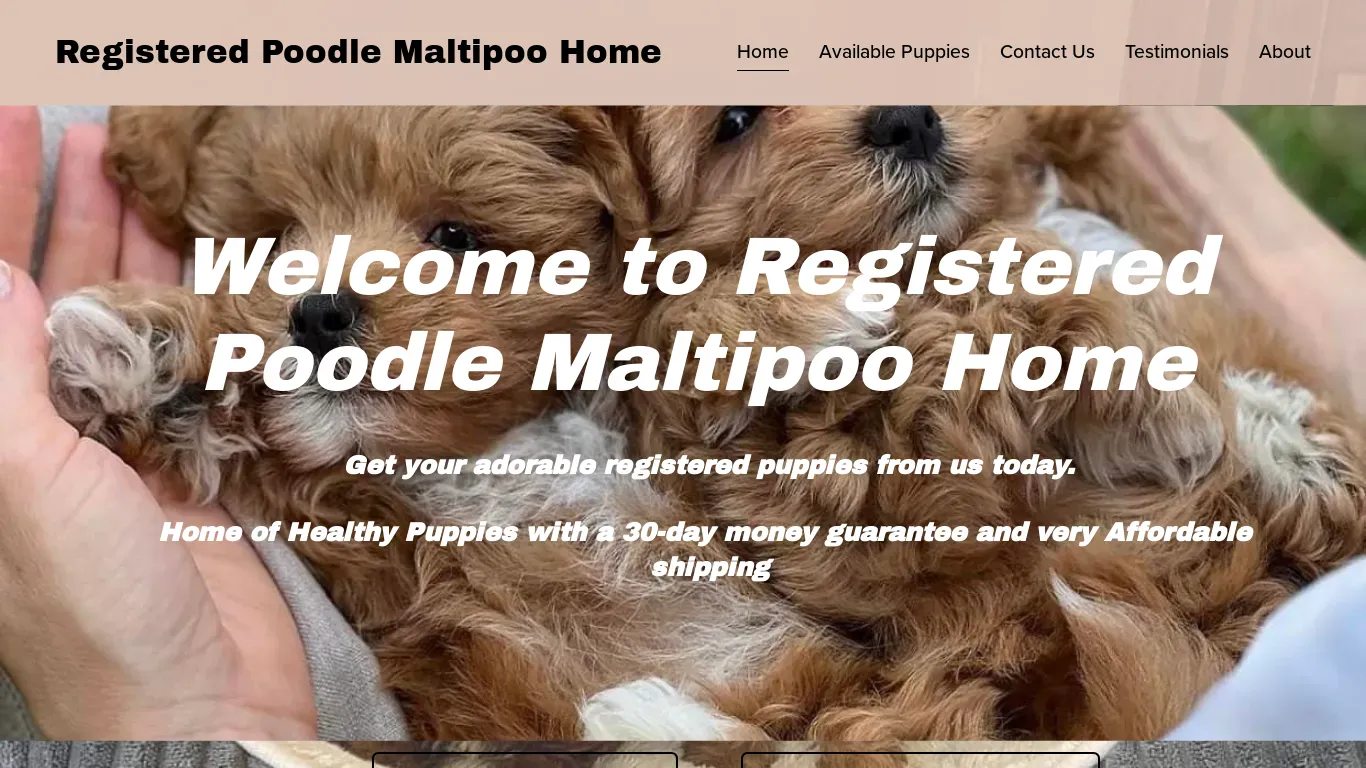 is Registered Poodle Maltipoo Home legit? screenshot