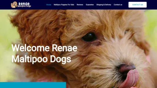 A screenshot of Renaemaltipoodogs.com