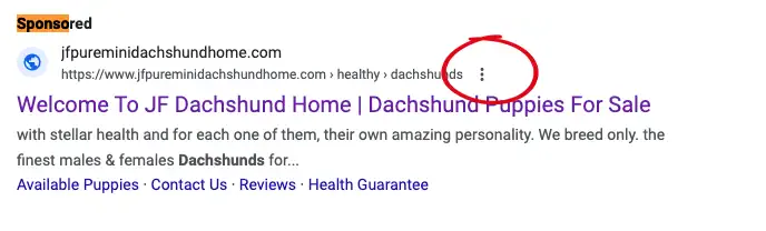 report-google-search-ad-step-1