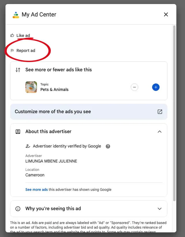 report-google-search-ad-step-2