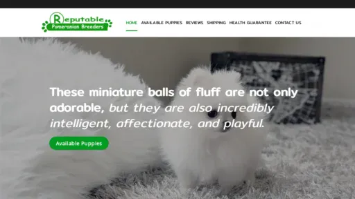 A screenshot of Reputablepomeranianbreeder.com