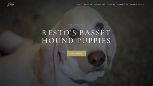 A screenshot of Restosbassethoundpuppies.com