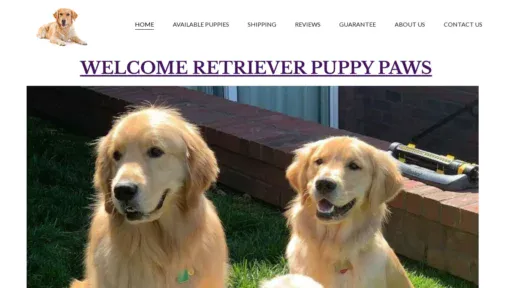 A screenshot of Retrieverpuppypaws.com