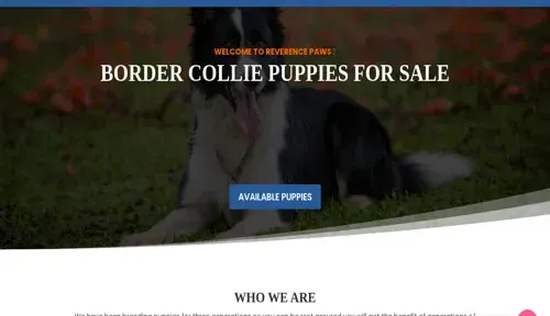 A screenshot of Genlanfamilystbernard.com