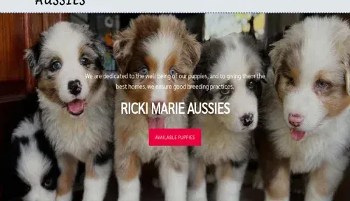 A screenshot of Genlanfamilystbernard.com