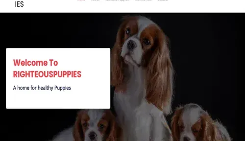 A screenshot of Genlanfamilystbernard.com