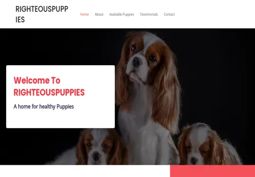 is righteouspuppies-sa.co.za legit? screenshot