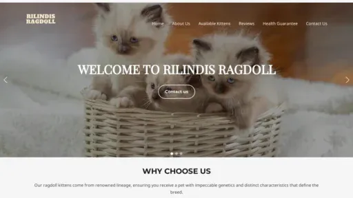 A screenshot of Rilindisragdol.com