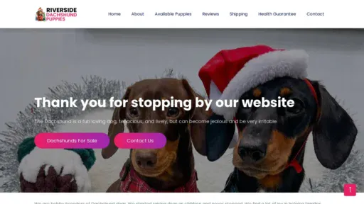 A screenshot of Riversidedachshundpuppies.com