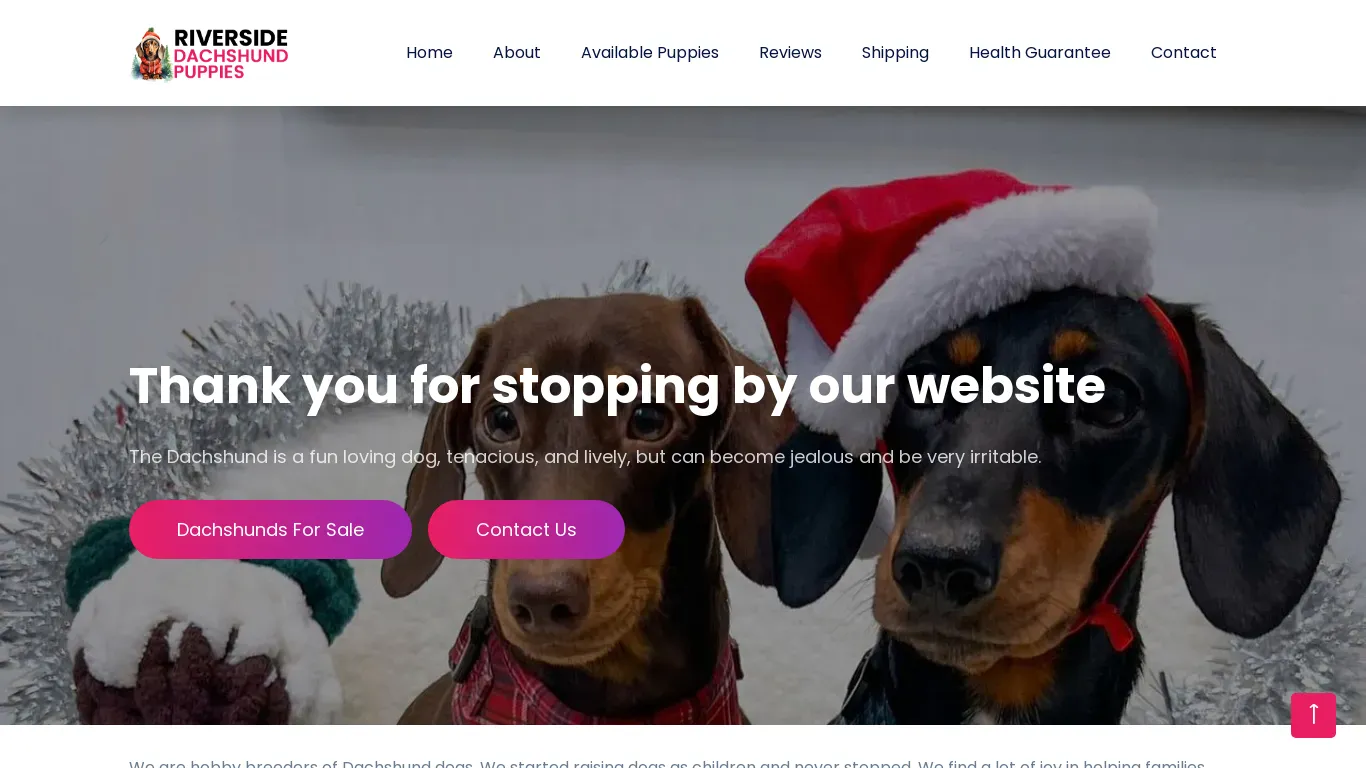 is Home | Riverside Dachshund Puppies legit? screenshot