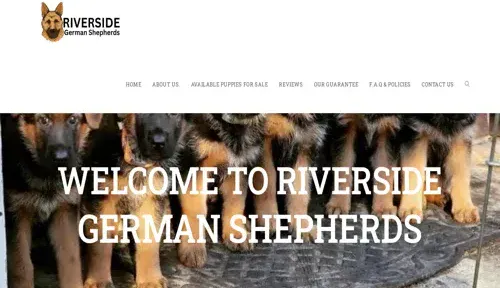 A screenshot of Genlanfamilystbernard.com