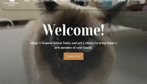 A screenshot of Genlanfamilystbernard.com