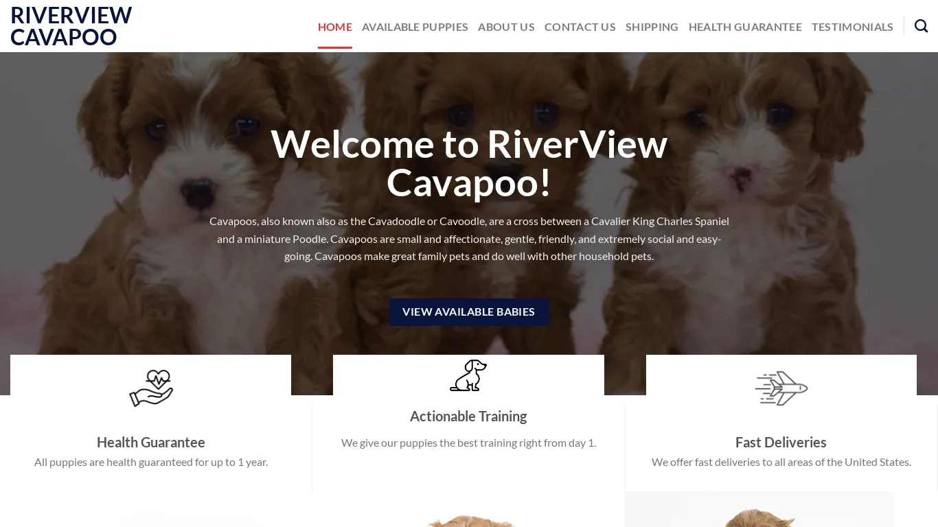 is riverviewcavapoo.com legit? screenshot