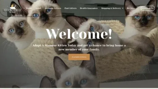 A screenshot of Riverviewsiamesekittensandcatsforsale.com