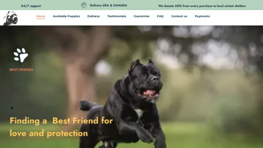 A screenshot of Robertscanecorso.com
